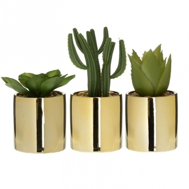 Plante in Ghiveci Gold 3 Designs
