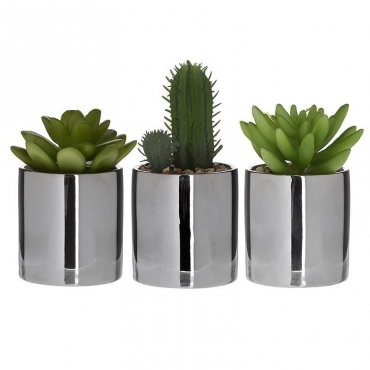 Plante in Ghiveci Silver 3 Designs