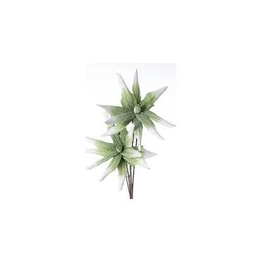 Planta Decorativa Green Aloe Chinensis H125