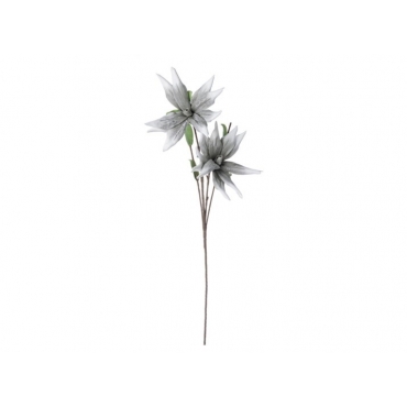 Planta Decorativa Grey Aloe Chinensis H125