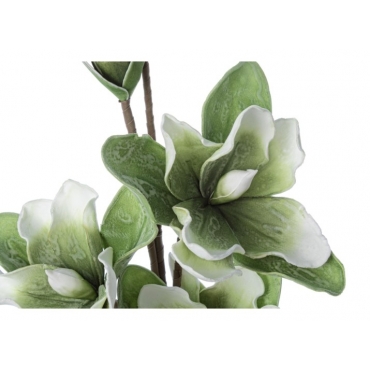 Planta Decorativa Green Magnolia H95
