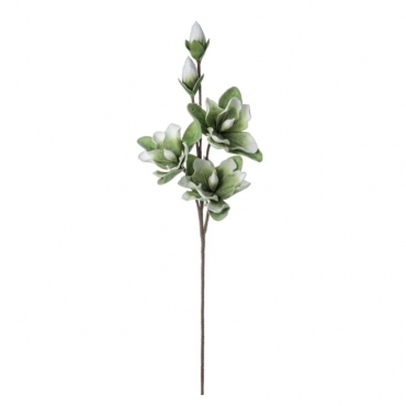 Planta Decorativa Green Magnolia H95